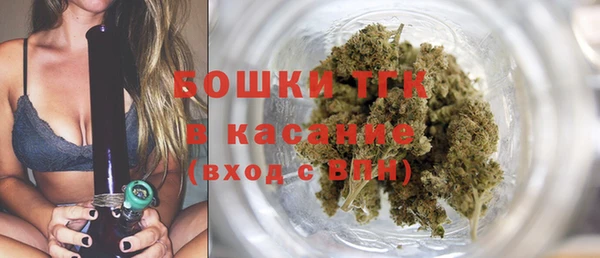 шишки Магас
